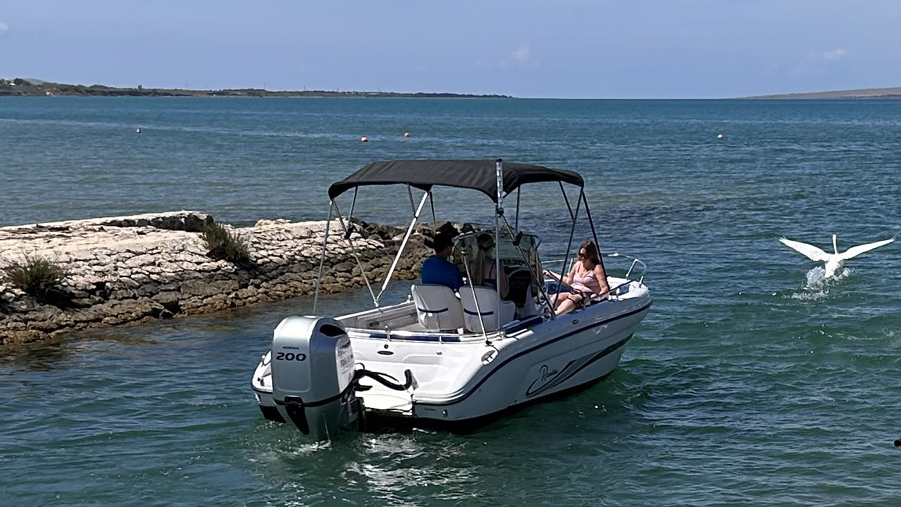 Ranieri and Swan Ranieri Voyager 22